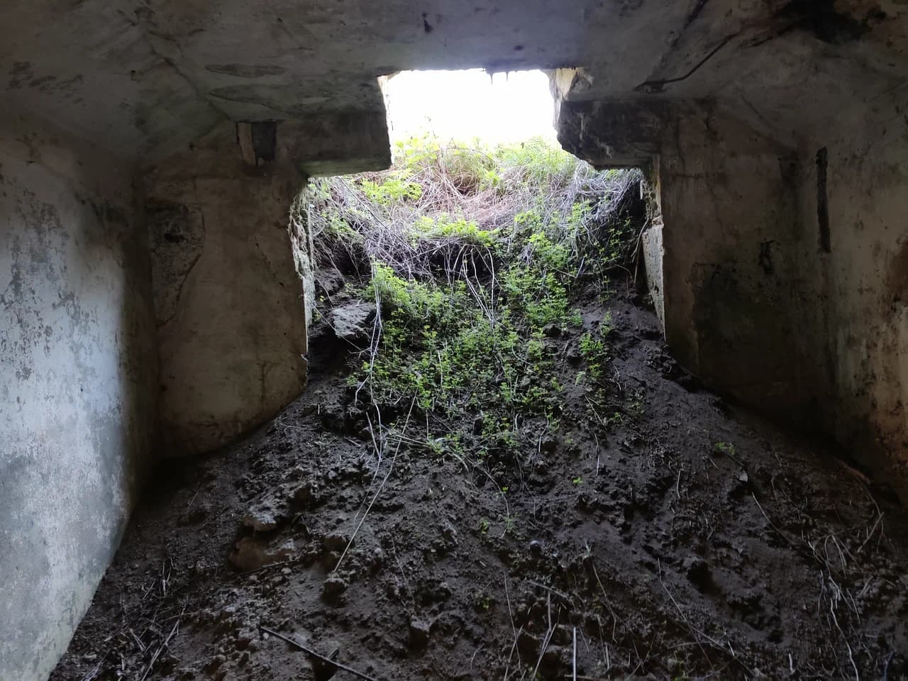 Крошин. Германские ДОТы Первой мировой войны.