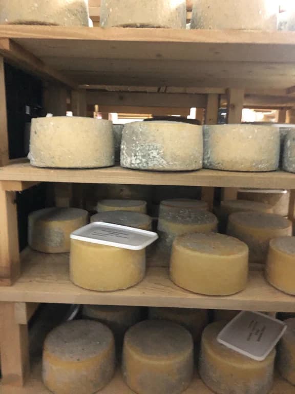 Полочаны. Экскурсия на сыроварню «Грандмилк».