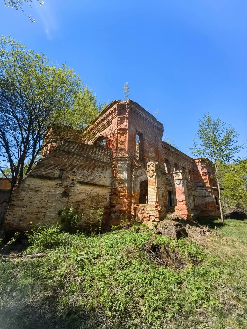 Речки. Руины усадьбы Шульцев.