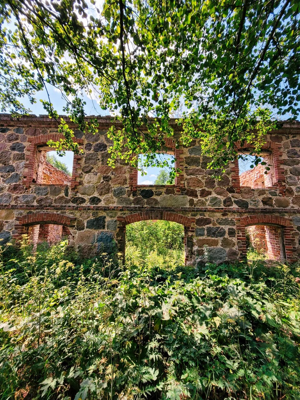 Rudnya Pilnyanskaya. Ruins of a watermill.