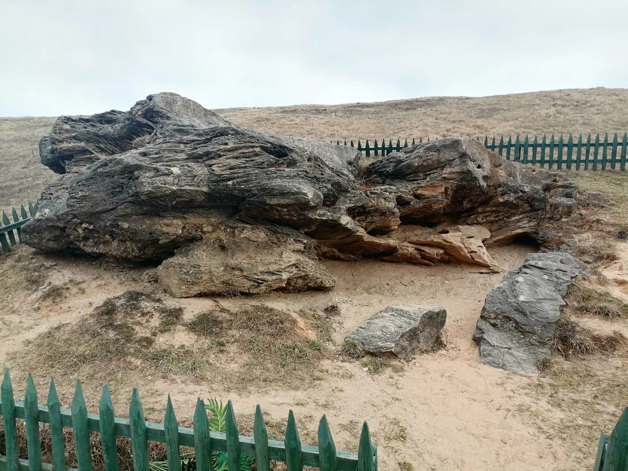 Ледниковый конгломерат Раковский.