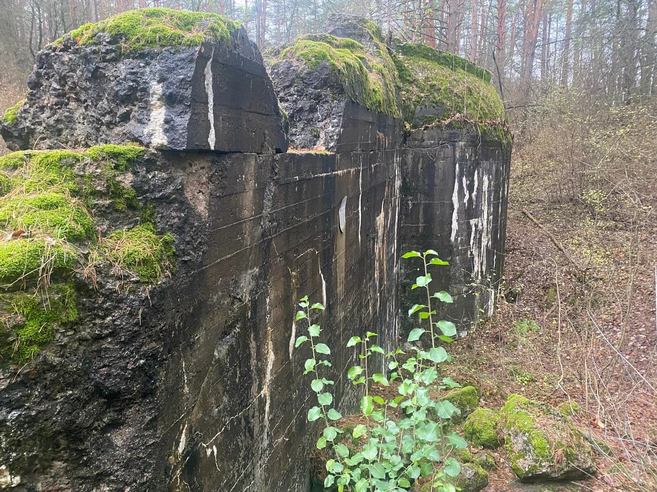 Грандичи. Гродненская крепость, форт № 13.