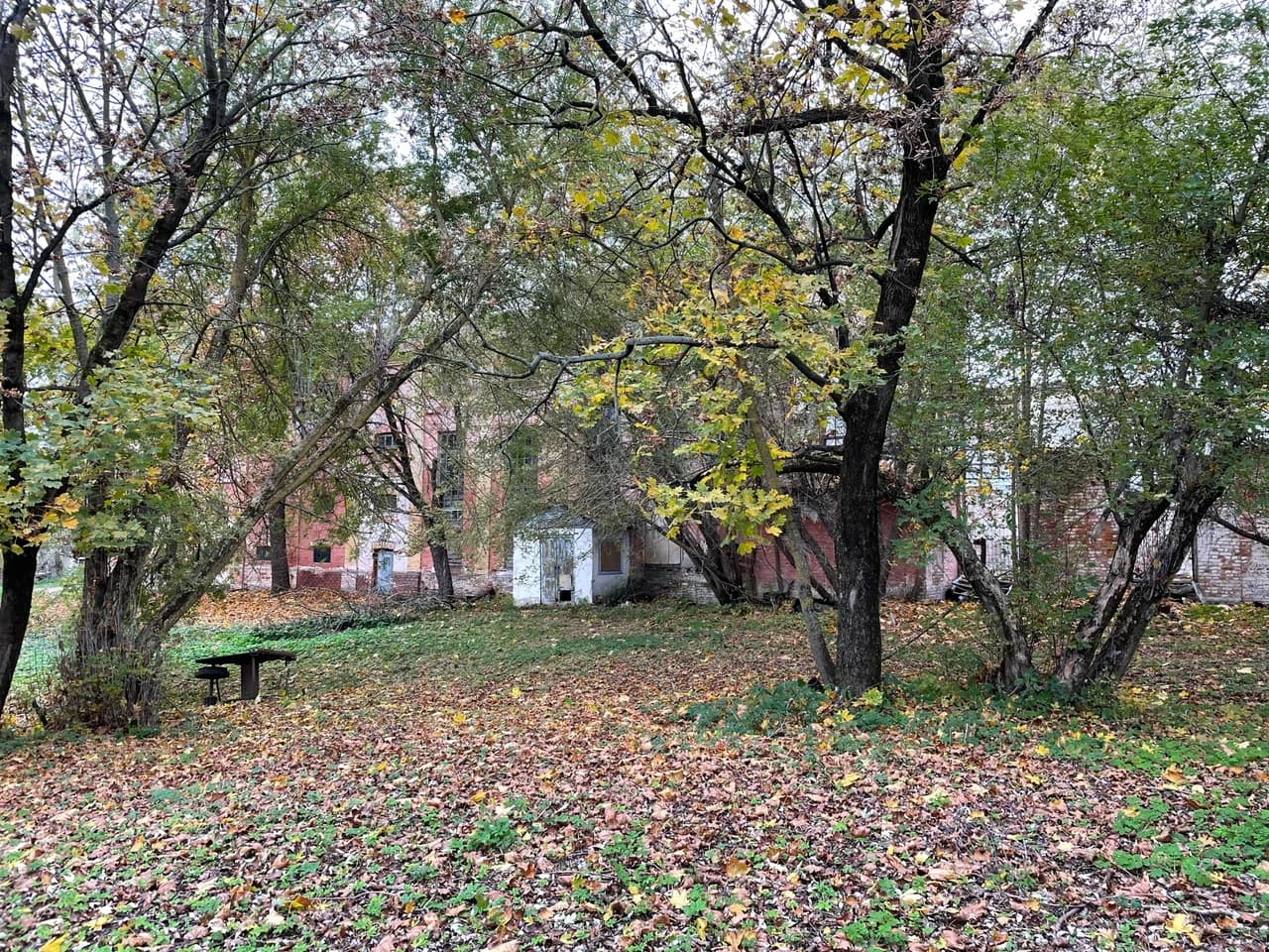 Корма. Усадебный комплекс Дориа-Дерноловичей Стефаново-Сарск