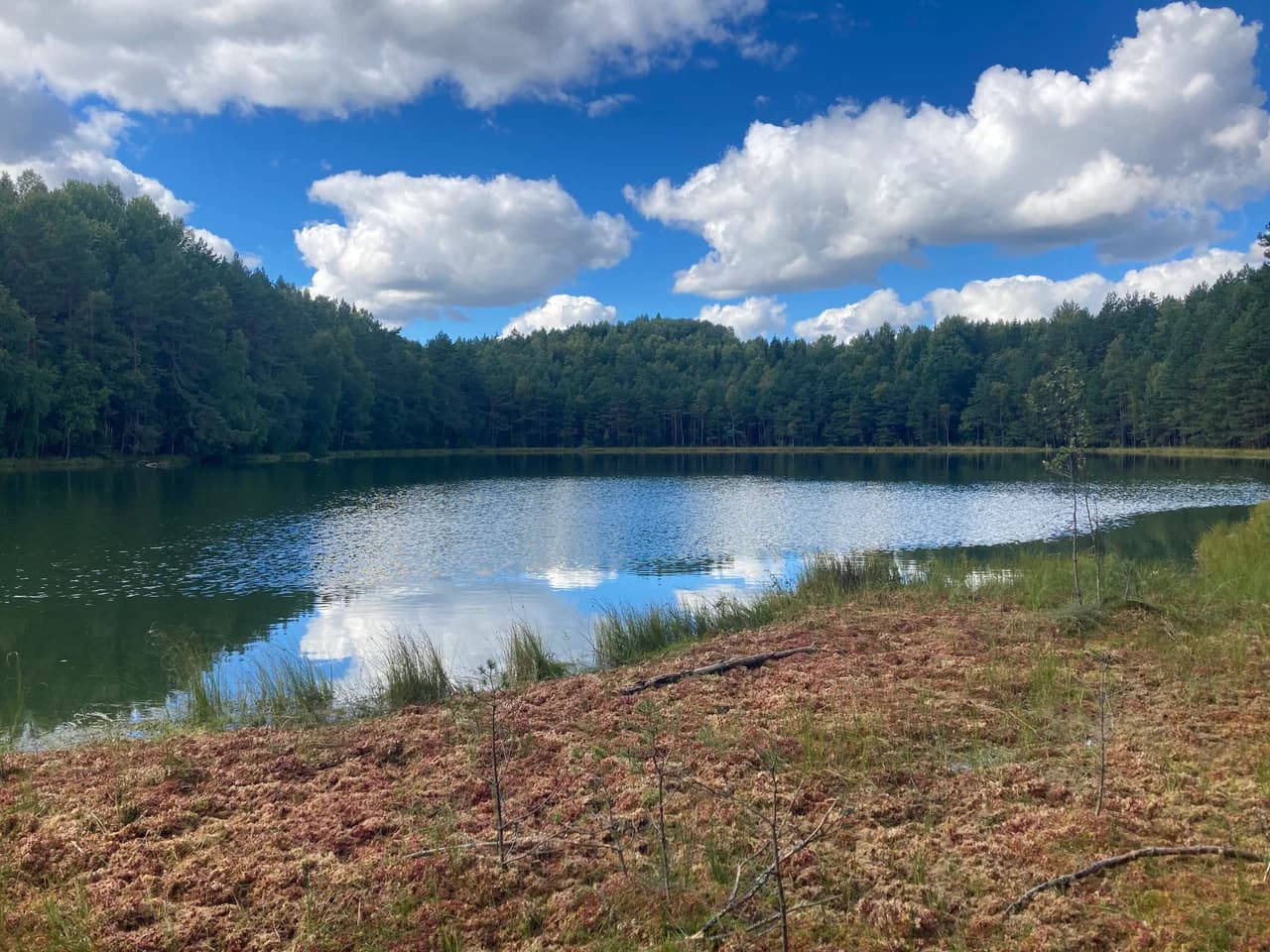 Ecological trail "Blue Lakes".