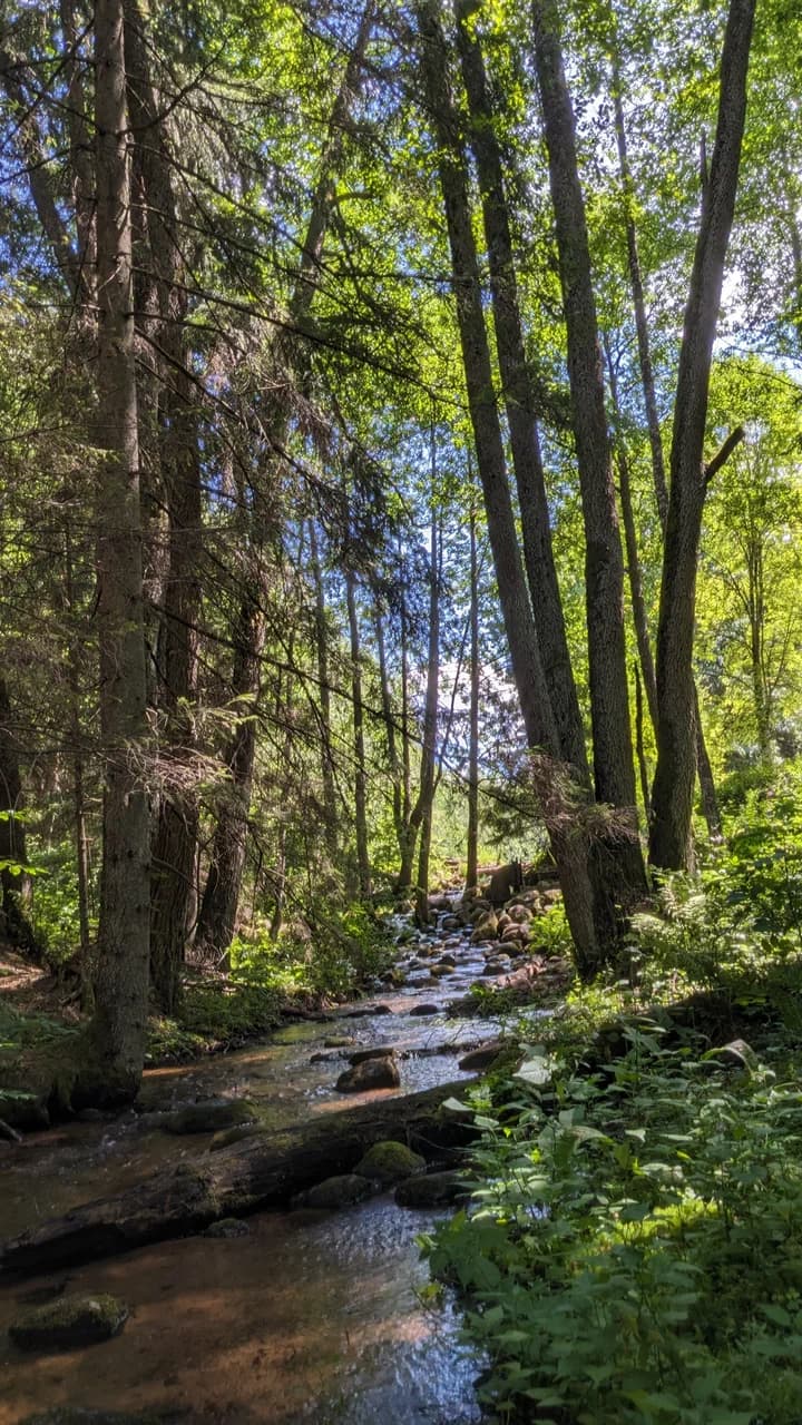 Bolshoi Boltsiksky spring.