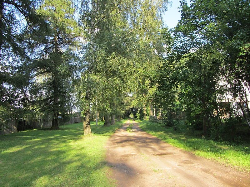 Zamostye. Yelsky Manor Park.