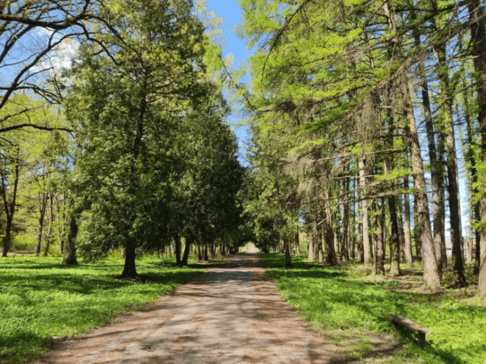 Грудзінаўка. Сядзіба графскага роду Талстых.