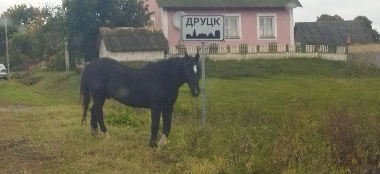 Друцк. Друцкае гарадзішча.