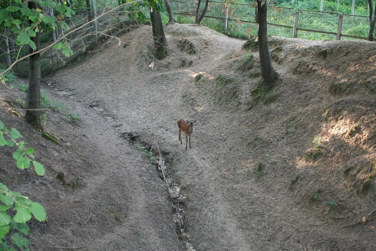 Mogilev. Zoo.