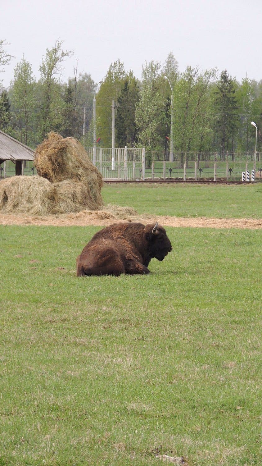 Mogilev. Zoo.