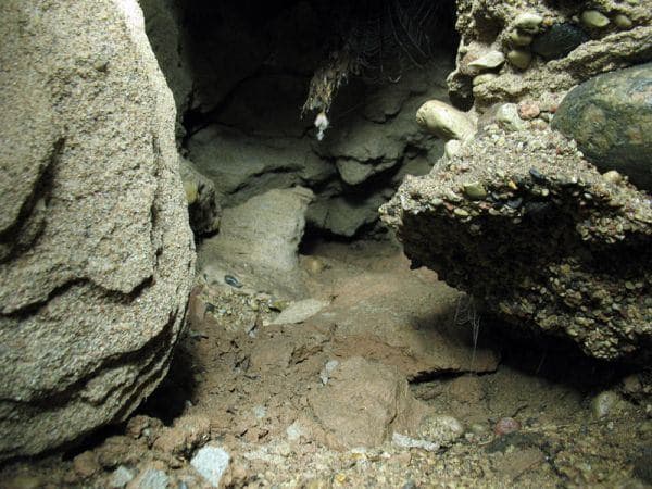 Sakhnovichi. Karst cave.