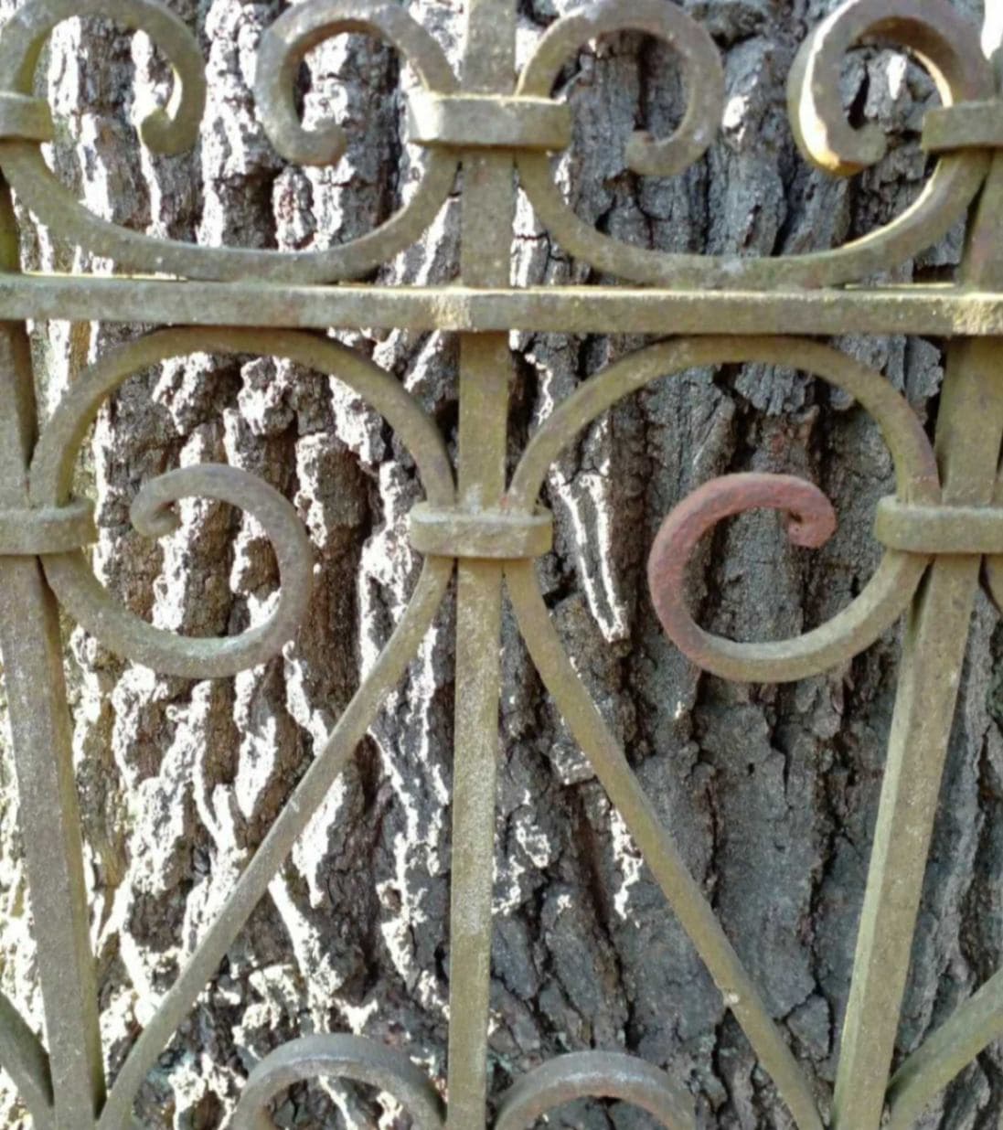 Mogilev. Myshakov cemetery.