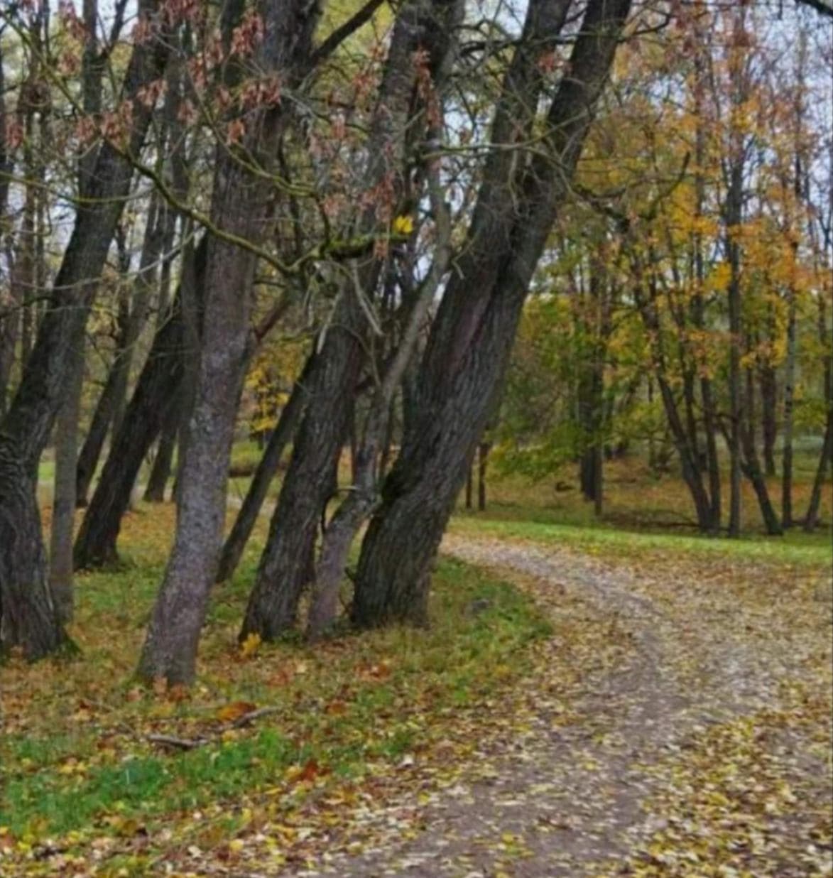 Высокое. Усадьба Макшицких.