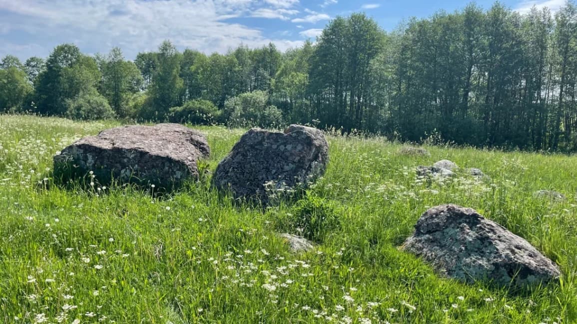 Cluster of boulders Yanovo (Great Stone Bikulnitsky).