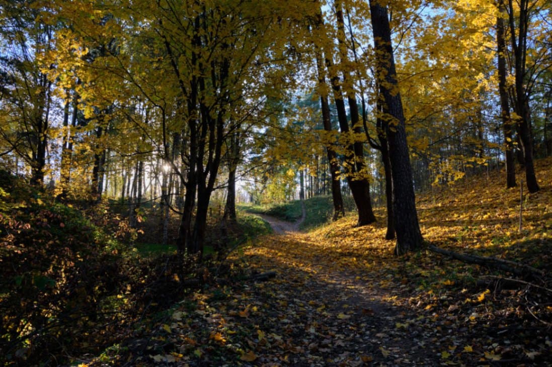 Віцебск. Юр'ева горка.