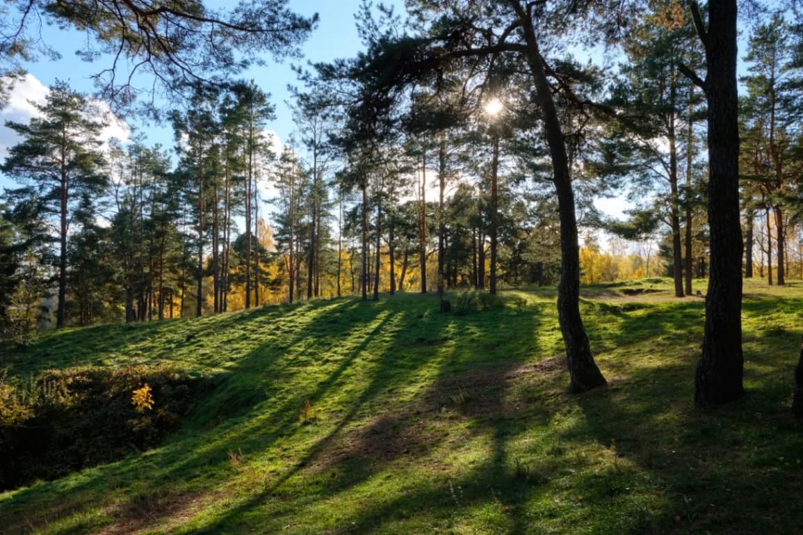 Віцебск. Юр'ева горка.