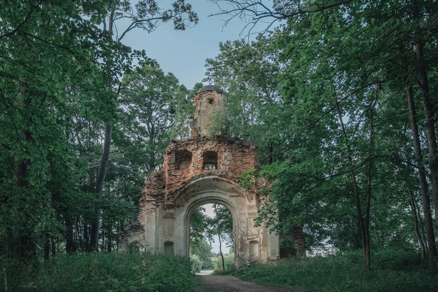 Сітцы. Руіны сядзібнага комплексу Дамейкі.