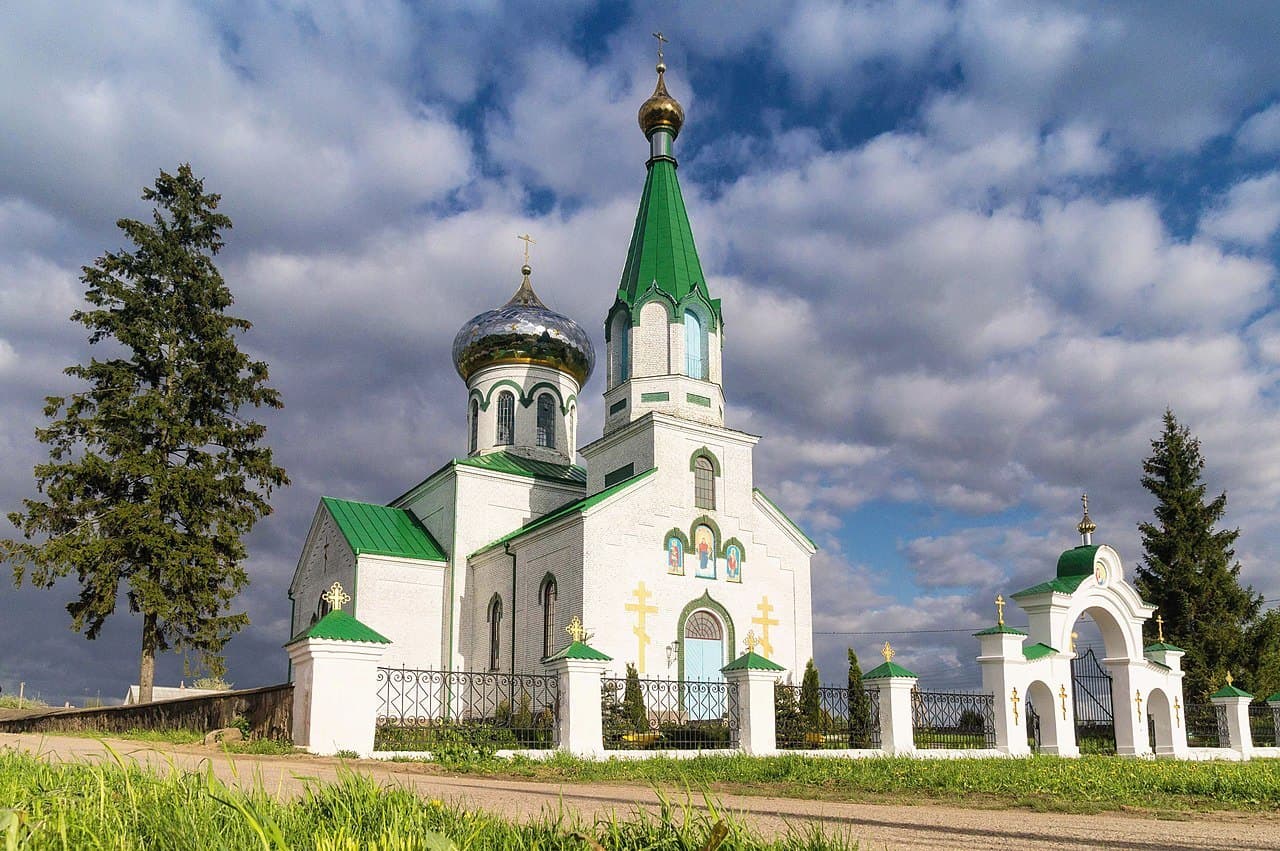 Сітцы. Руіны сядзібнага комплексу Дамейкі.