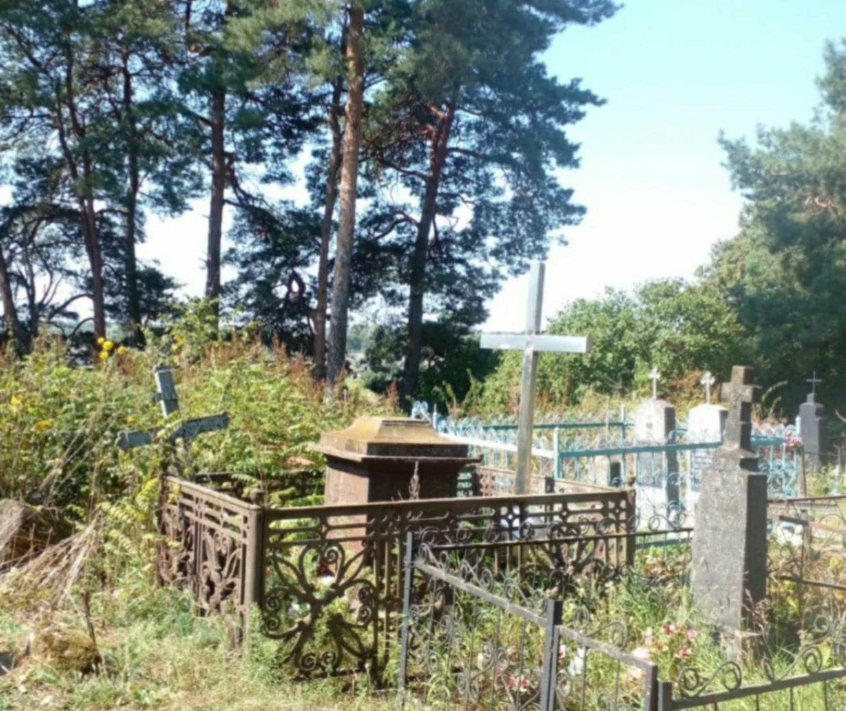 Vishnevo. Old Catholic cemetery.