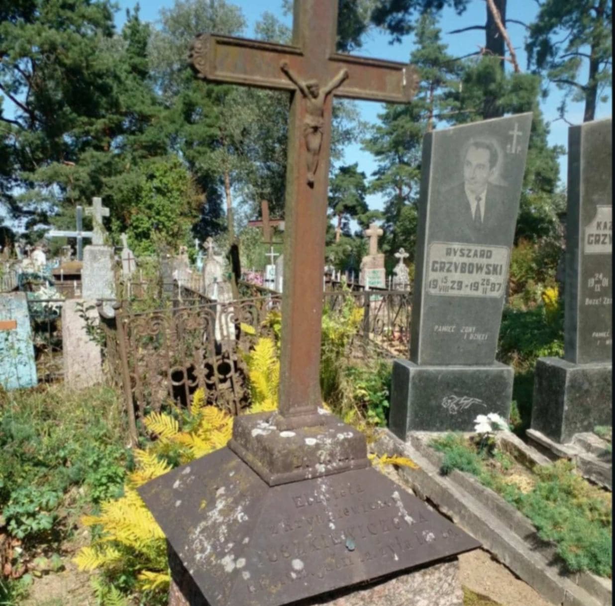 Vishnevo. Old Catholic cemetery.