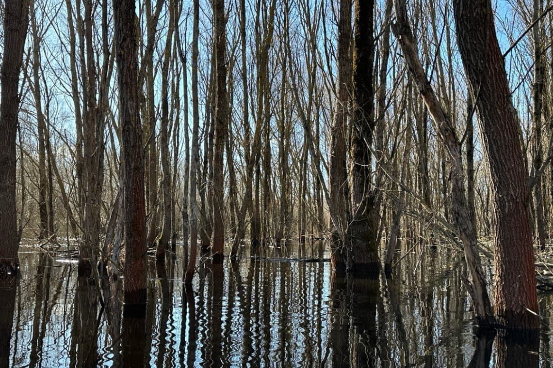 "Нацыянальны парк "Прыпяцкі". Мора Герадота.