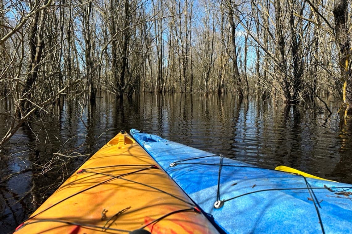 "Нацыянальны парк "Прыпяцкі". Мора Герадота.