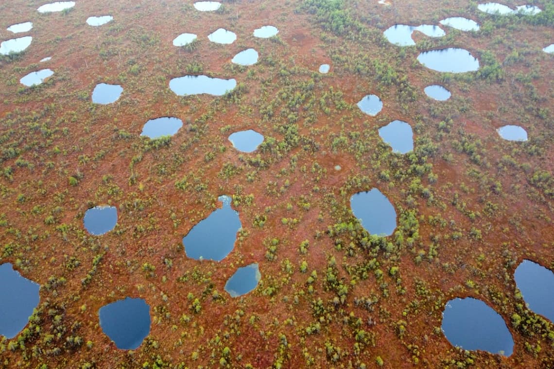 Kozyansky Nature Reserve. Kozyansk marshes.