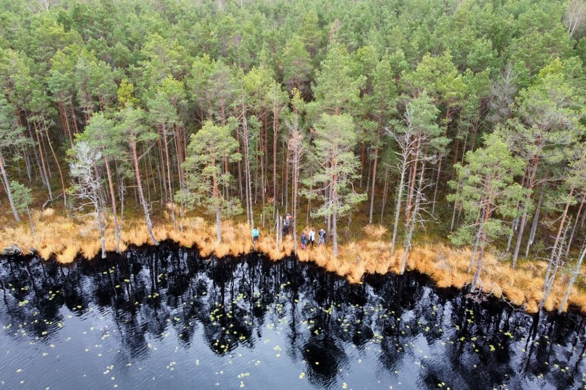 Kozyansky Nature Reserve. Kozyansk marshes.