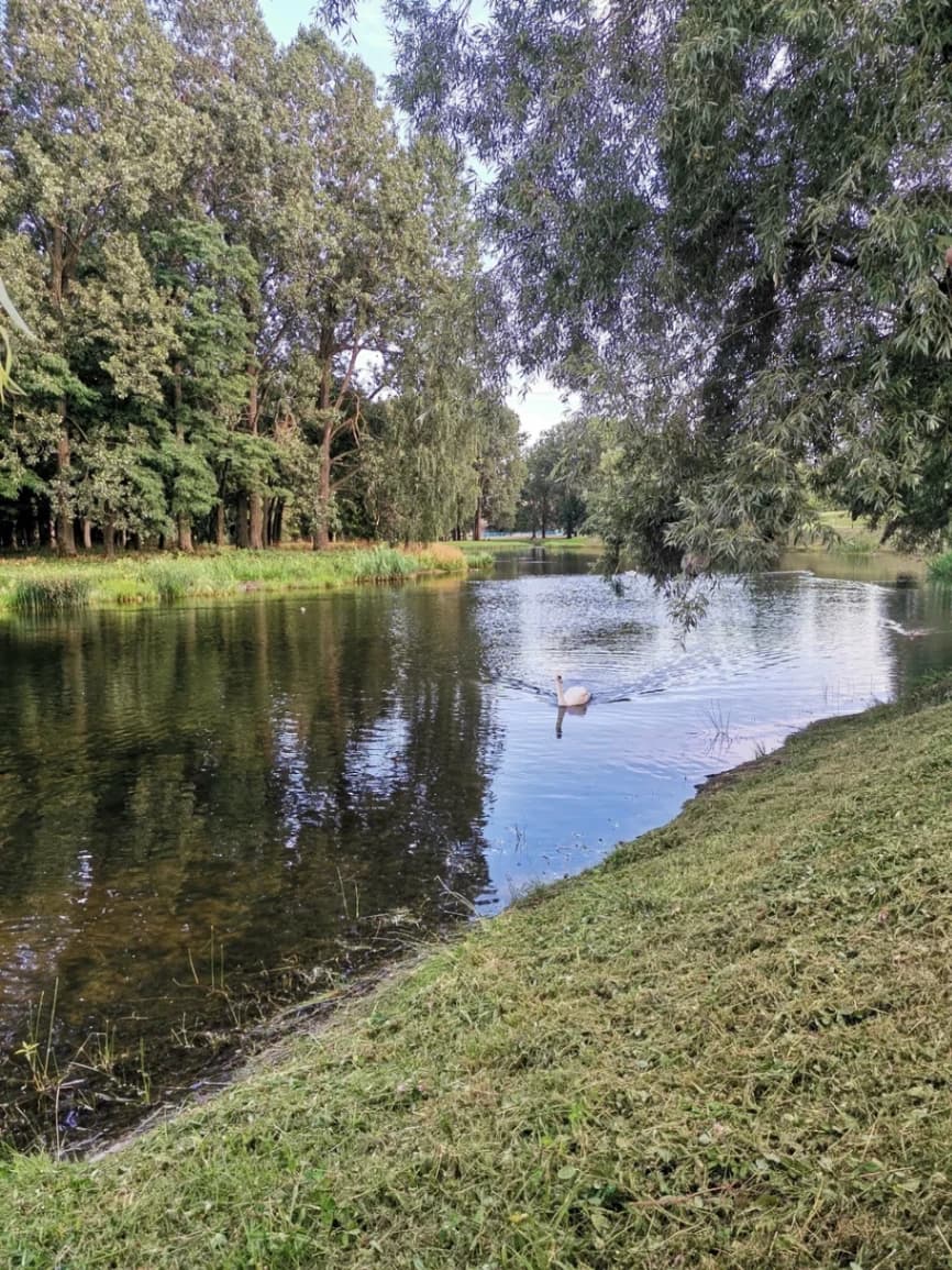 Кобрын. Парк імя Суворава.