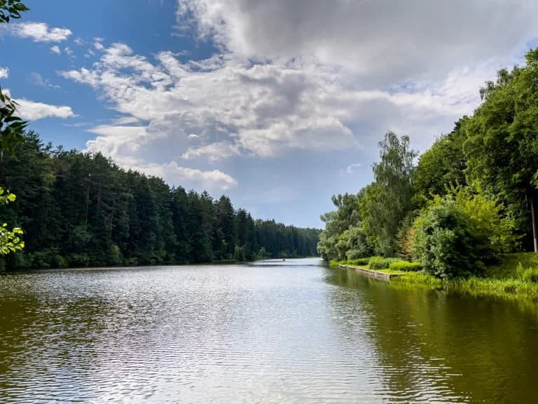 Могилев. Печерский лесопарк.