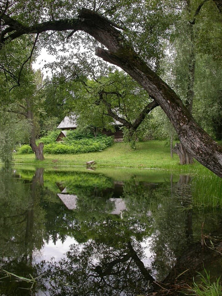 Вязынка. Музей першага Народнага паэта Янкі Купалы