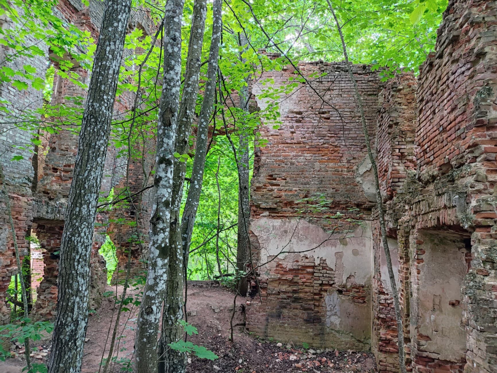 Vyaloe. The ruins of Count Tyshkevich's estate.