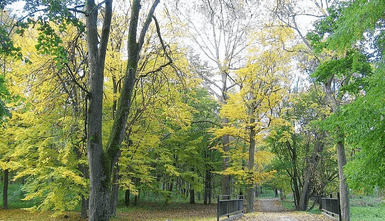 Vysokoe. The Sapieha-Pototski Palace and Park Ensemble.