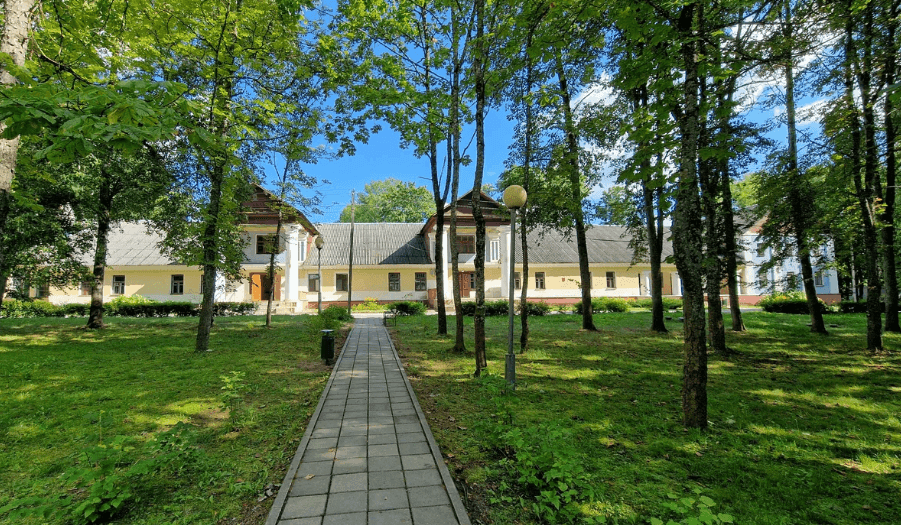 Новае поле. Руіны сядзібы Друцкіх-Любецкіх.