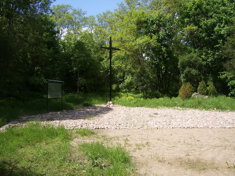 Shestakovo. The ruins of Traugutt Manor.