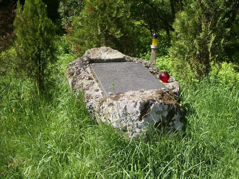 Shestakovo. The ruins of Traugutt Manor.