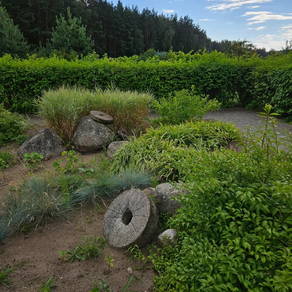 The excursion and tourist complex "Aptekarsky garden".