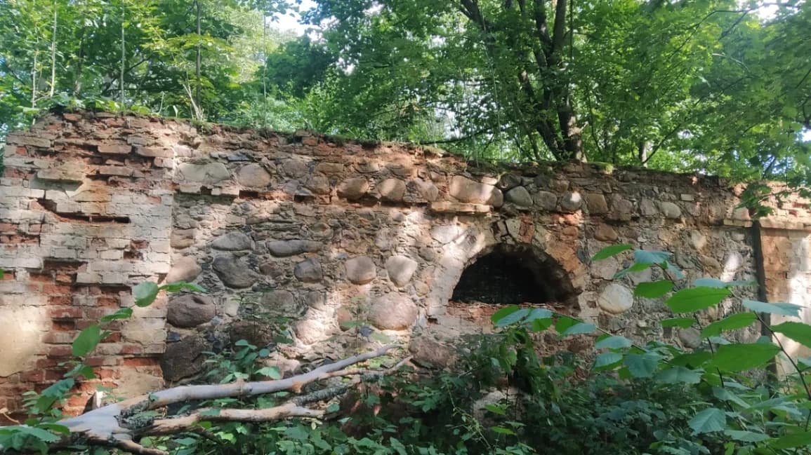 Lukovets. The ruins of the Borovsky manor.