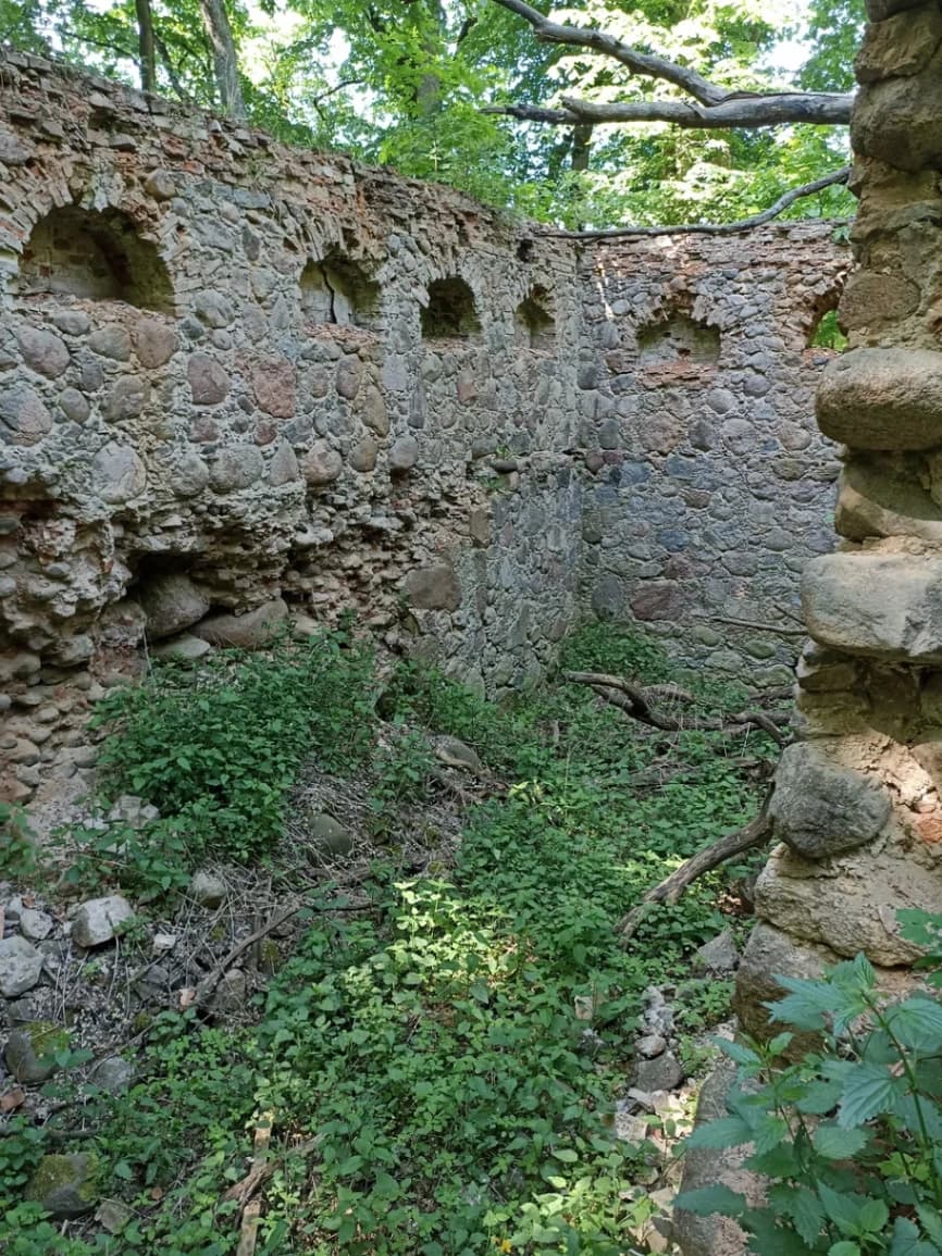 Lukovets. The ruins of the Borovsky manor.