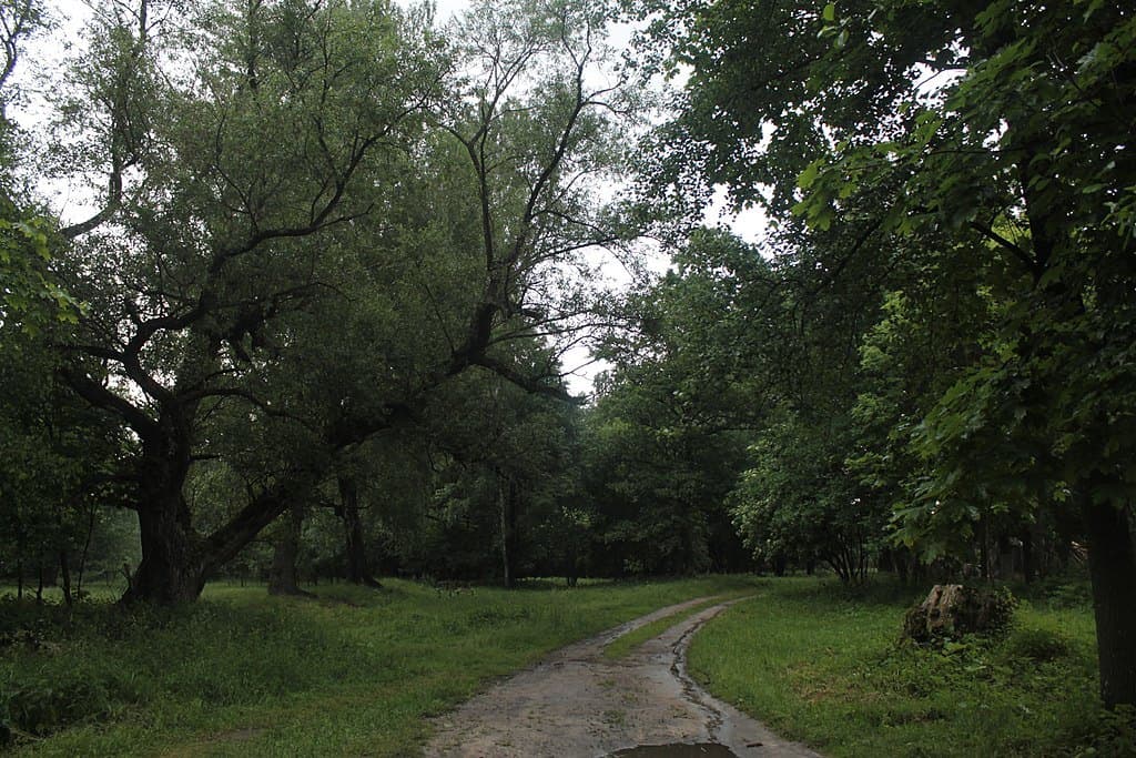 Berduny. Klianovskys Manor Park.