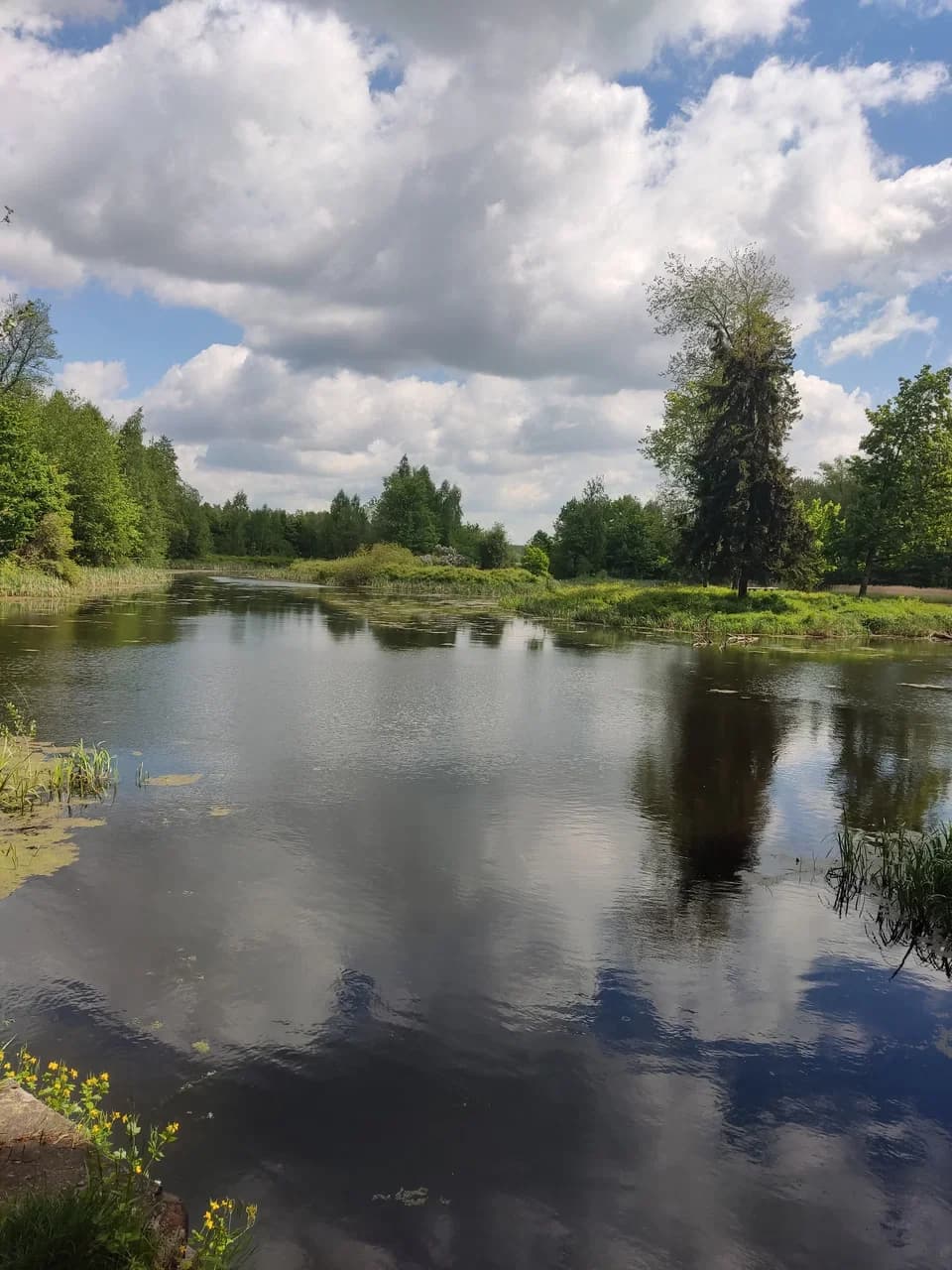 Рэпіхава. Парк сядзібы Патоцкіх.