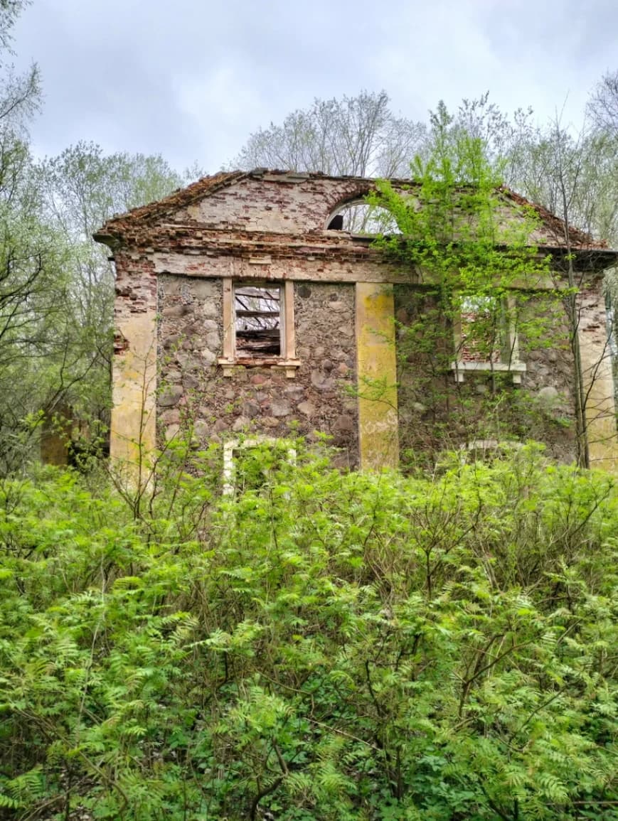 Вишнево. Руины усадьбы Хрептовичей.