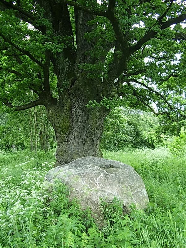 Bolshye Krugovichi. The Obukhovich Estate.