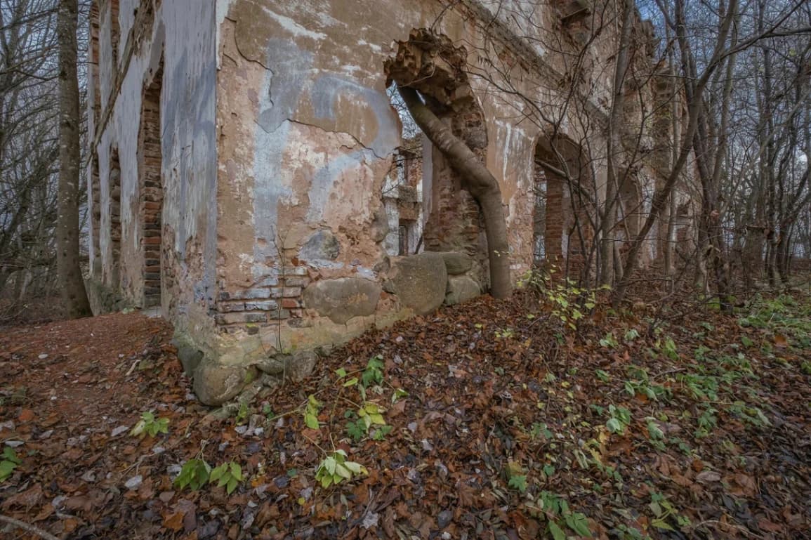 Pervomaisky. Ruins of the Kashitsy estate "Obrina".