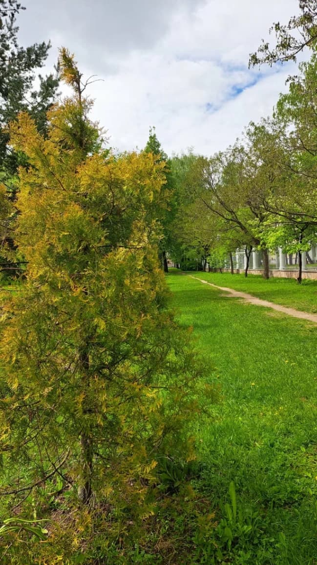 Vitebsk. Botanical Garden of the Vitebsk State University.