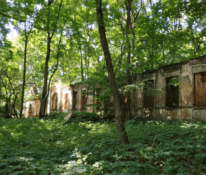 Галаўцы. Руіны сядзібы Абуховічаў.