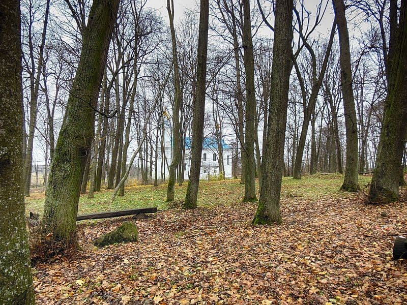 Вольна. Сядзіба рода Слізняў.