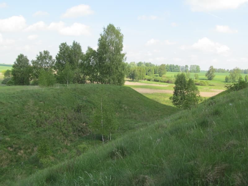 Старая Мышь. Замковая гора.