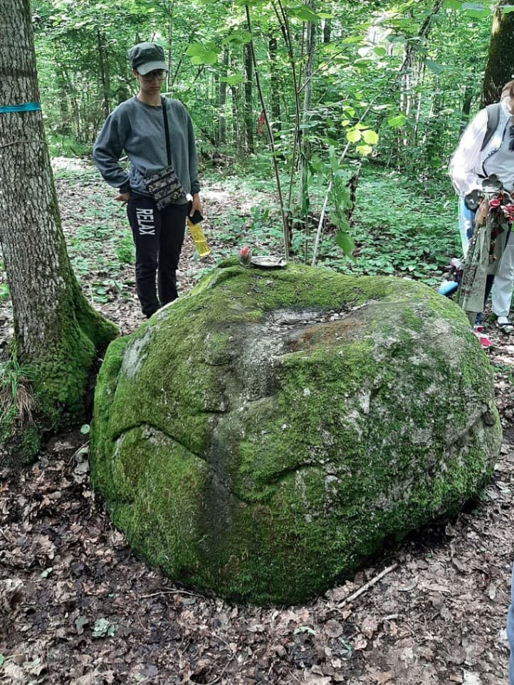 Падгорная. Гарадзішча і валун–следавік.