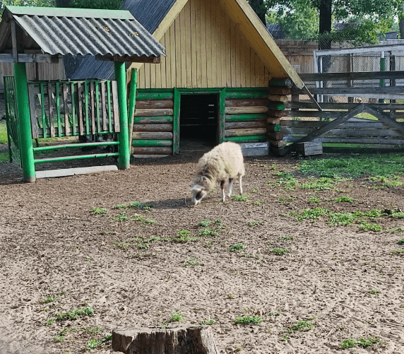 Октябрьский. Октябрьский зоопарк.